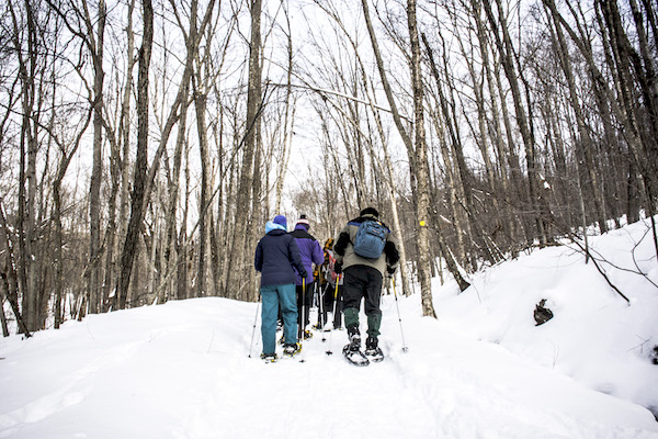 snowshoe hikers