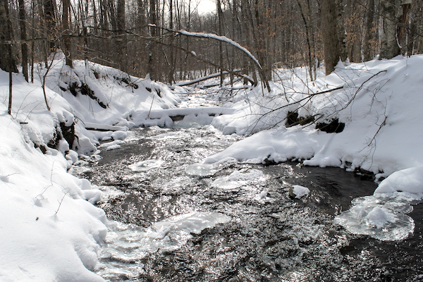 stream in winter with snow
