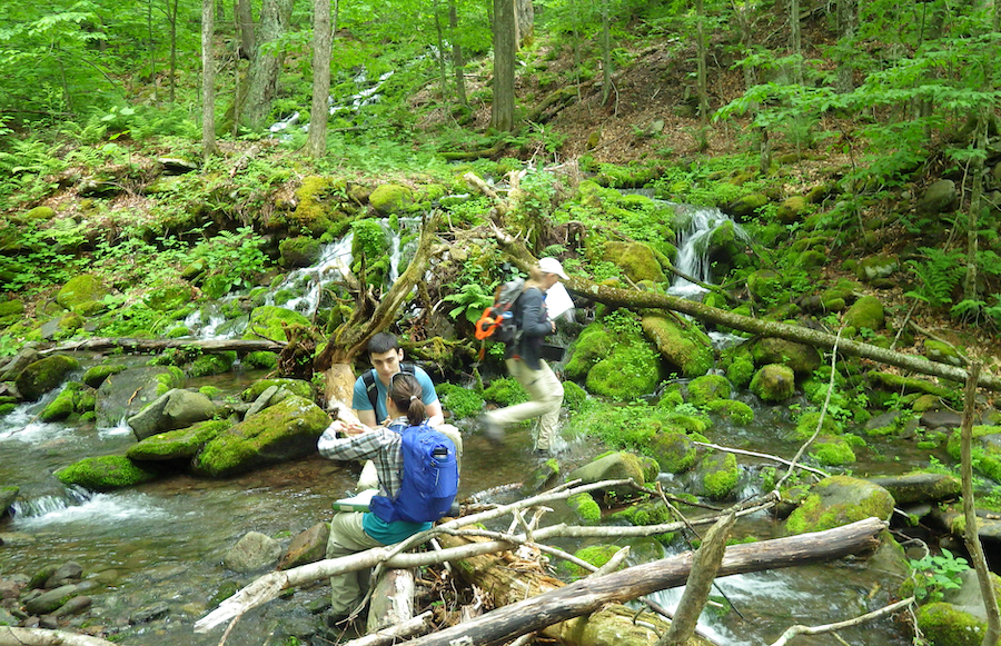 Three people examine a stream channel with measuring tape and clipboards in hand