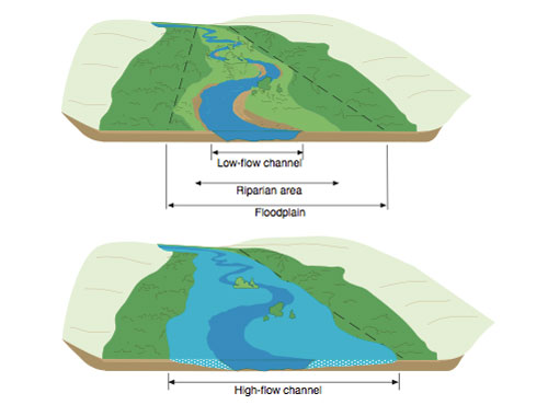 floodplain diagram