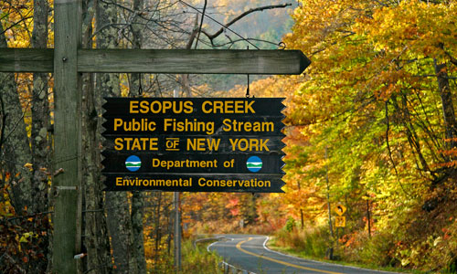 Public Fishing access sign on the Esopus Creeek