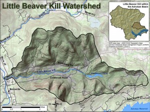 map of Little Beaver Kill