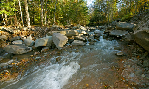 Warner Creek
